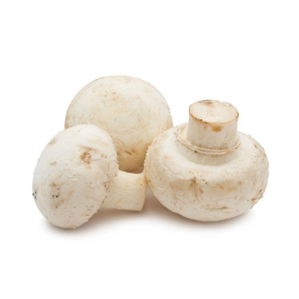 Champignon blanc