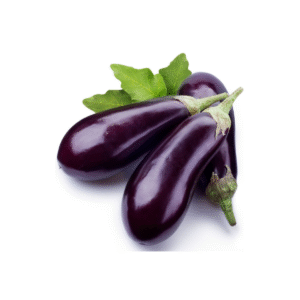 Aubergine